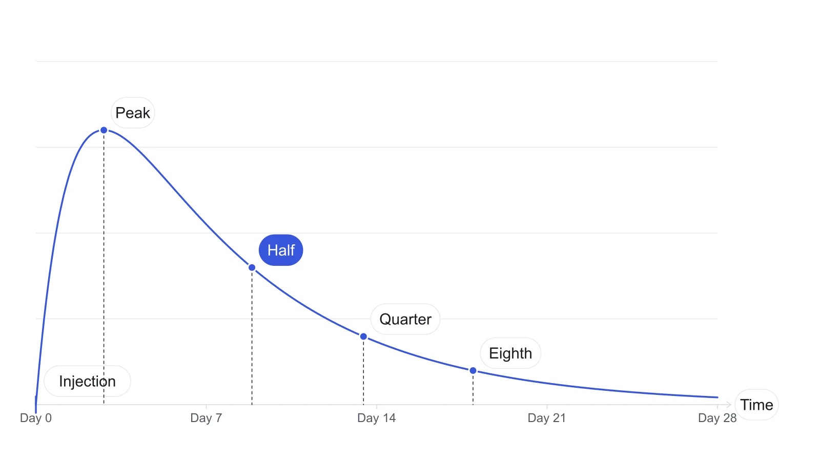 Estimated testosterone after one cypionate injection: the curve rises to a peak within a few days, then halves, quarters and eighths over the following weeks.