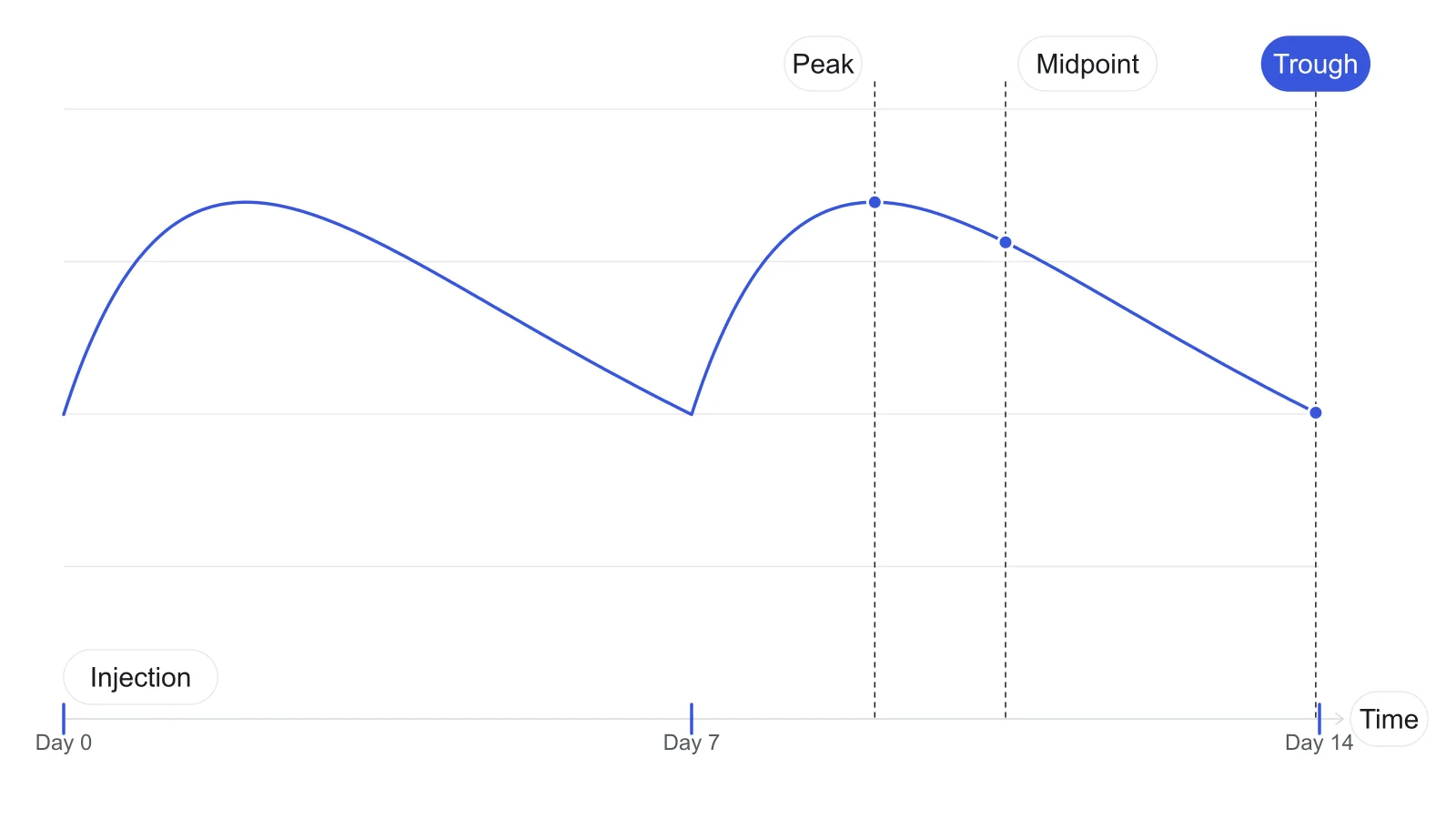 Estimated testosterone curve across two weekly injections, with the peak, midpoint and trough of one week marked by dashed lines.