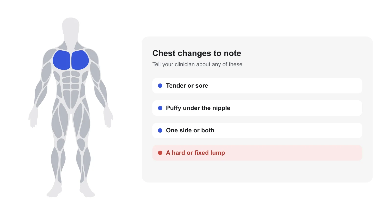 Front body outline with the chest highlighted, beside a card of chest changes to tell a clinician about: tender or sore, puffy under the nipple, one side or both, and a hard or fixed lump flagged in red.